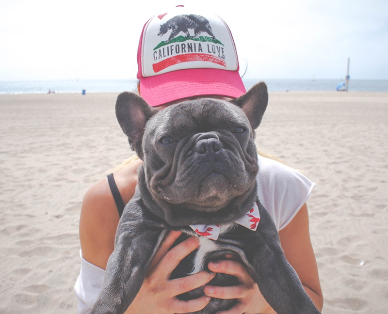 girl on the sand at the beach wearing a baseball cap holding a black french bulldog in front of her face