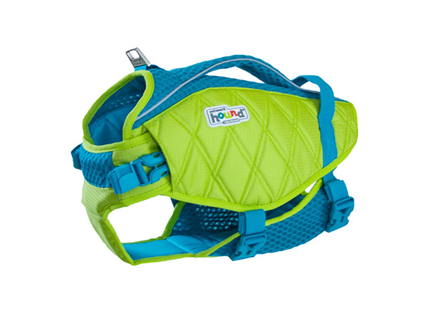 life jackert for french bulldogs in green and blue colours outward hound brand