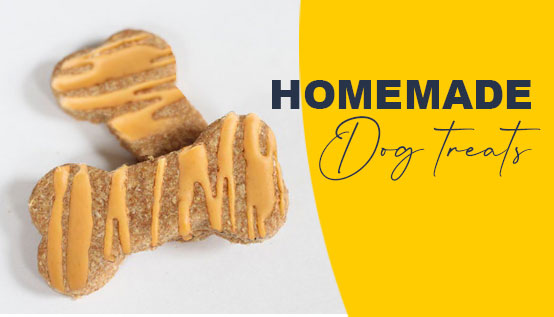 homemade dog treats image of 2 biscuits with peanut drizzle