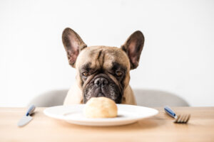 french bulldog sitting with a plate in from of him at a table with food on the plate