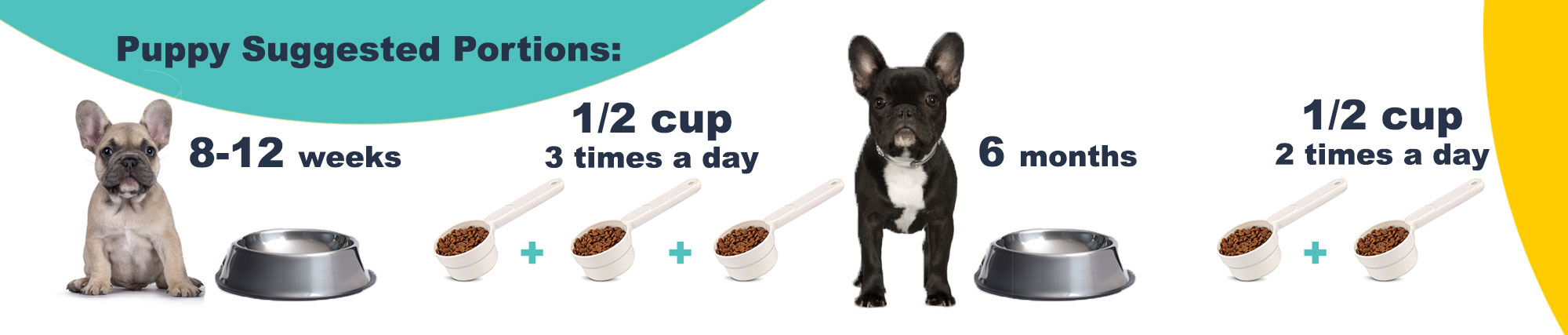 french bulldog puppy feeding guide