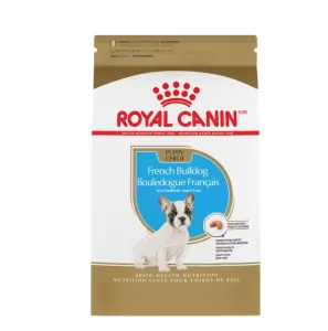 front of french bulldog puppy food on white background